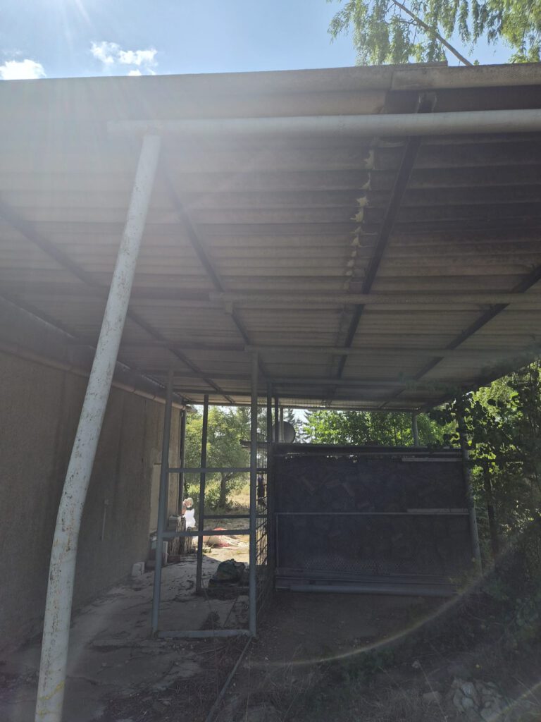 Ältere Faserzementplatten auf einer Dachfläche
