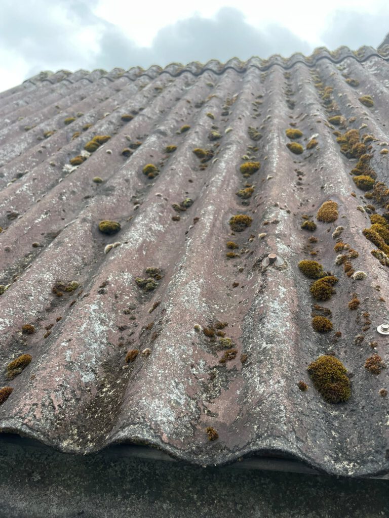 Nahaufnahme von verwitterten Asbest-Wellplatten mit Moosbewuchs