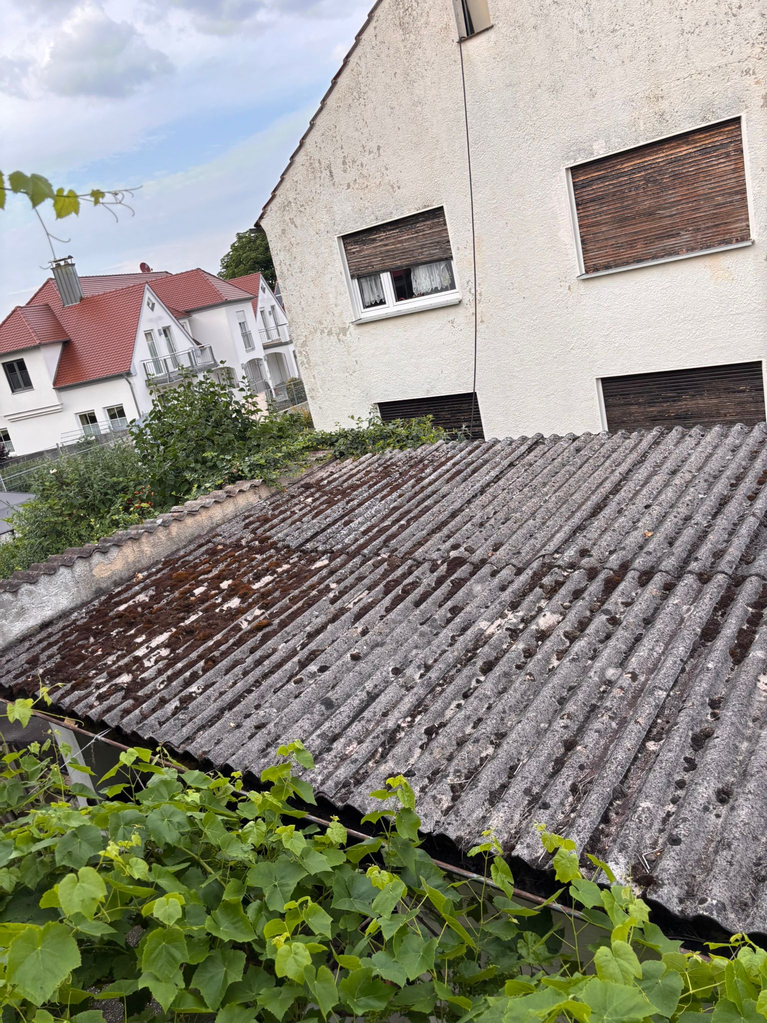CB Asbestsanierung (21)