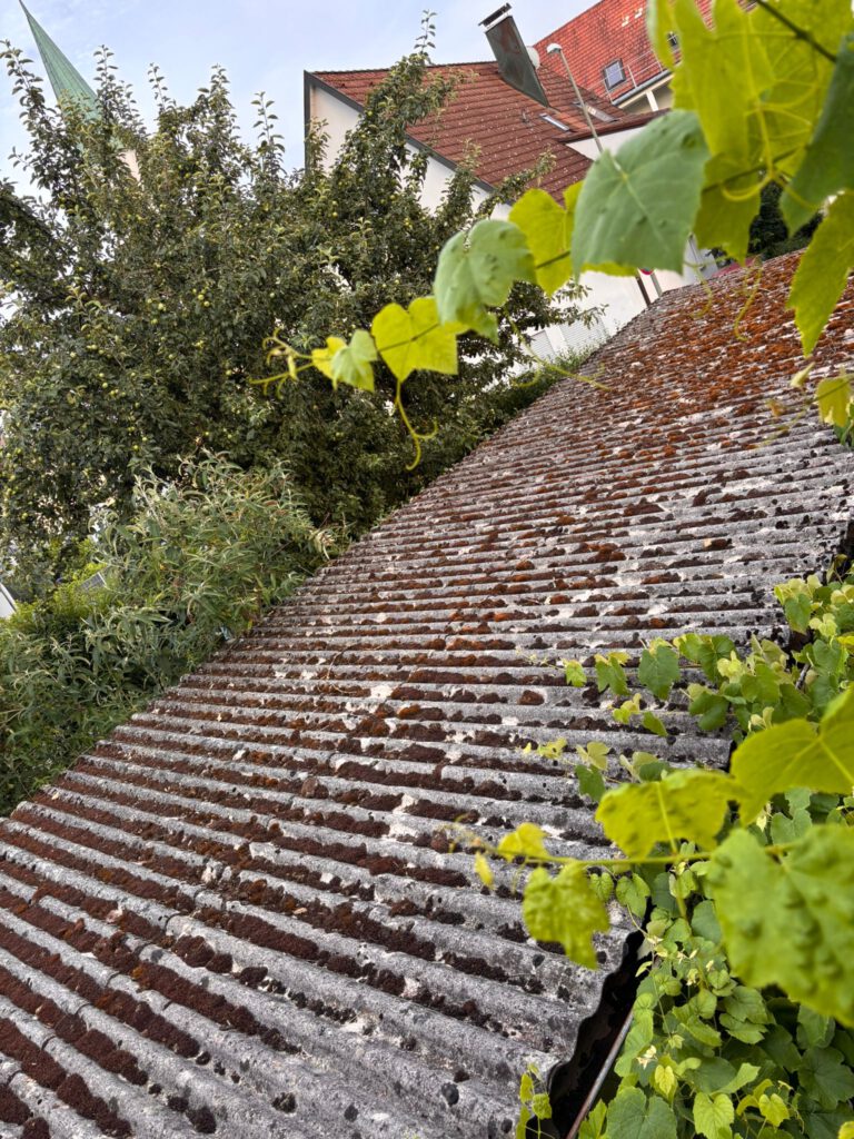 Detailaufnahme eines verwitterten Asbest-Welldachs mit Moosbewuchs