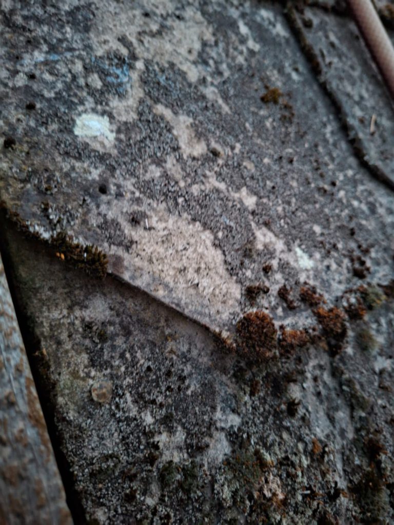 Nahaufnahme überlappender grauer Dachplatten mit Verschmutzungen und Moosbewuchs.